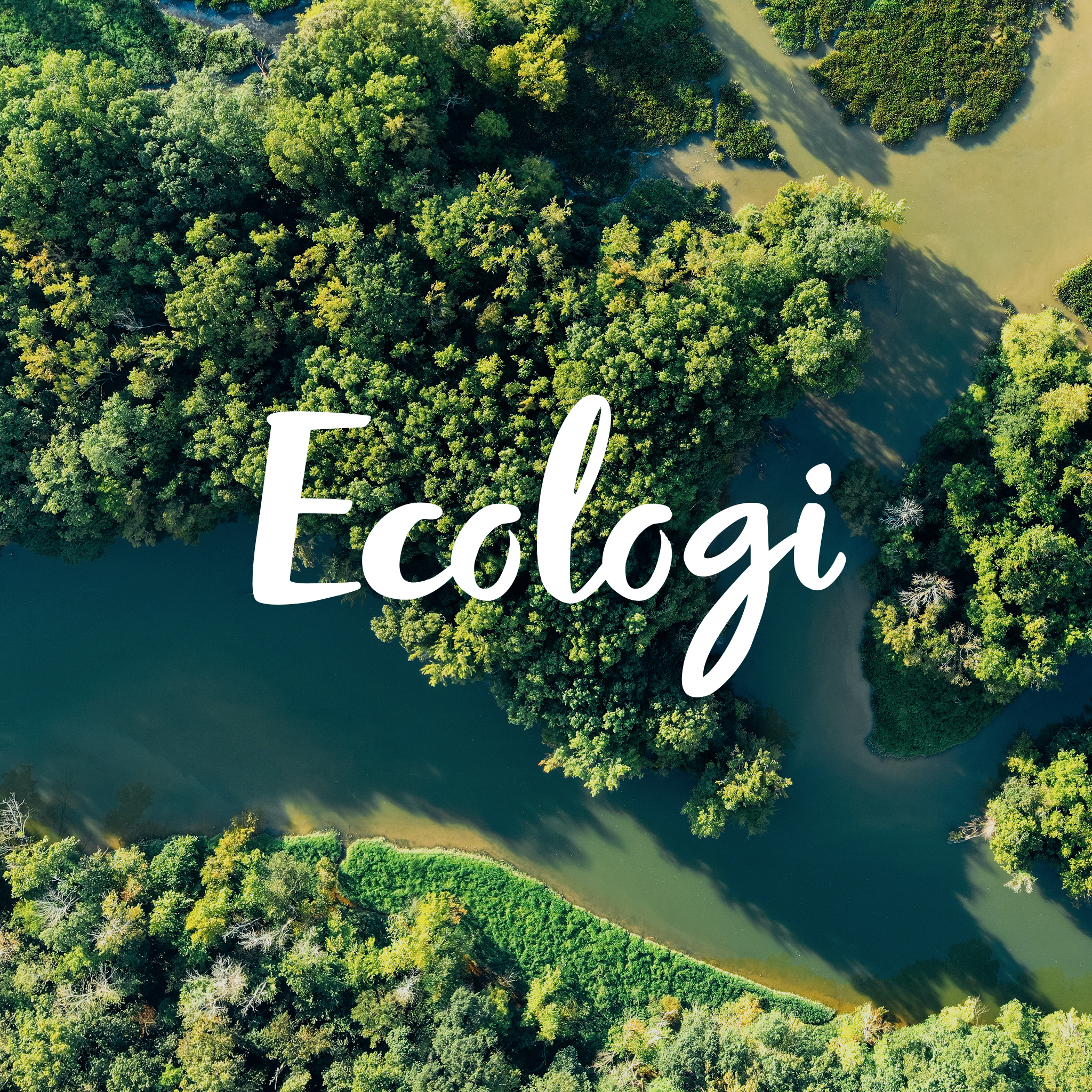 Ecologi Ecologi