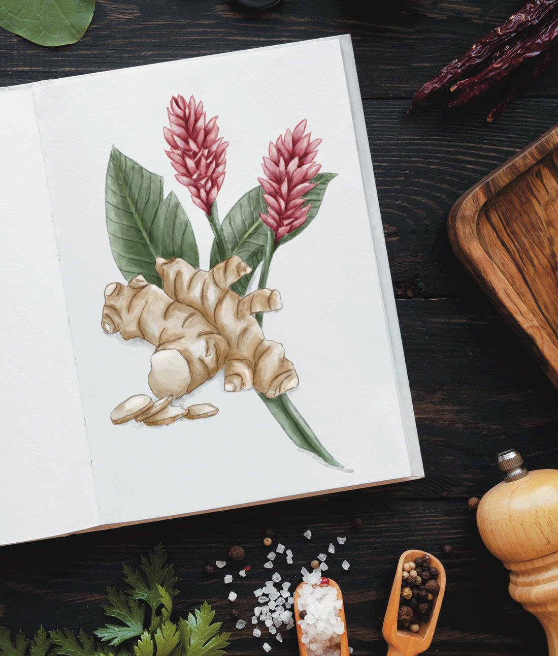 ginger book ginger book