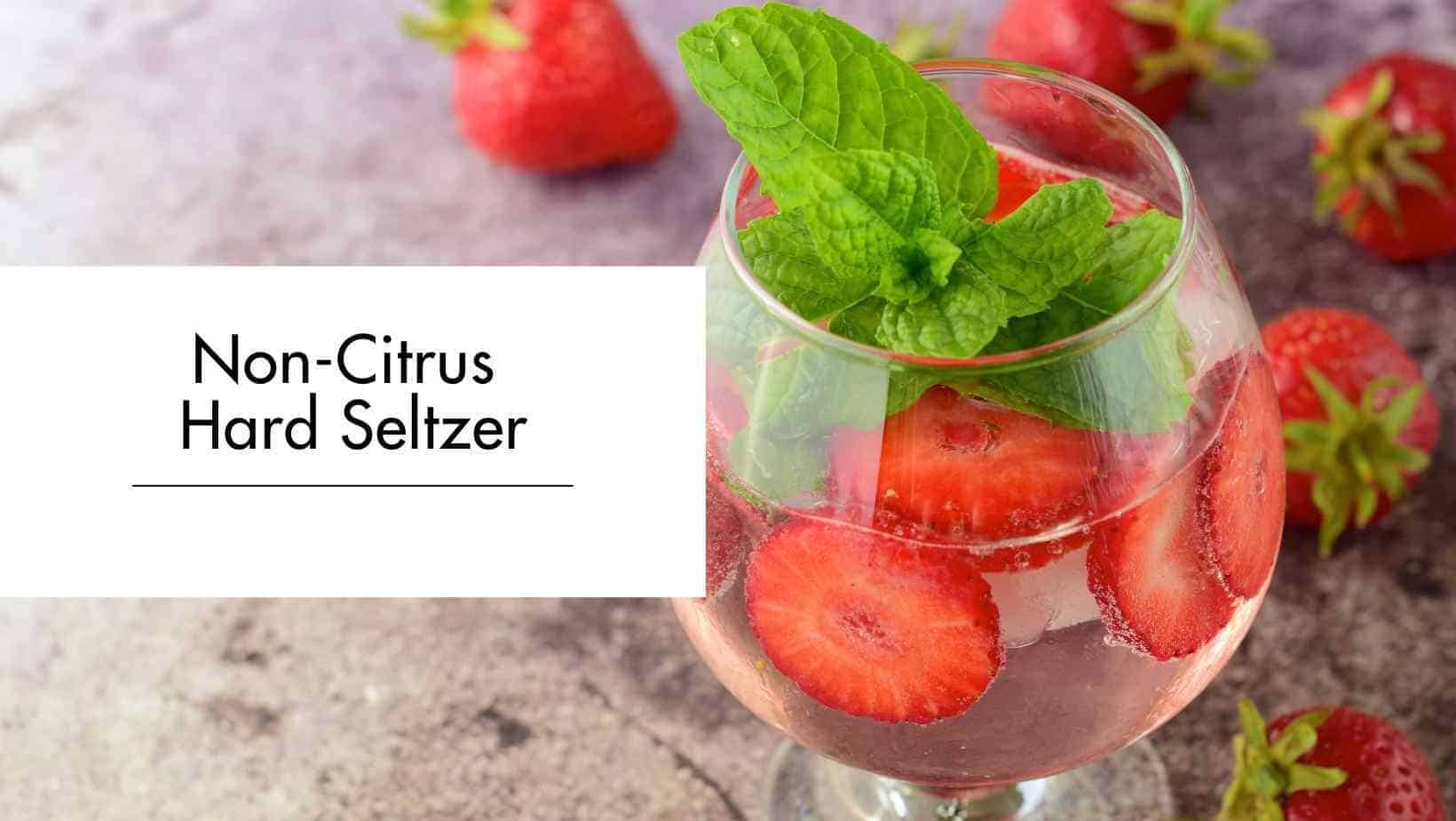 Non-Citrus Hard Seltzer strawberry hard seltzer